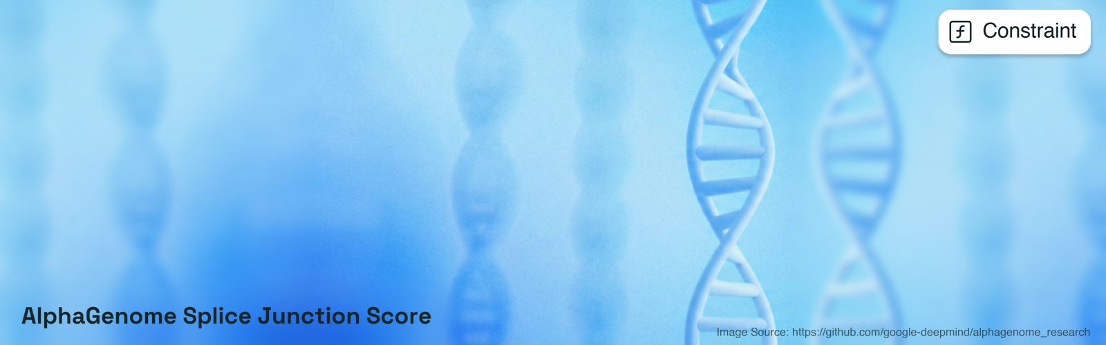 AlphaGenome splice junction score