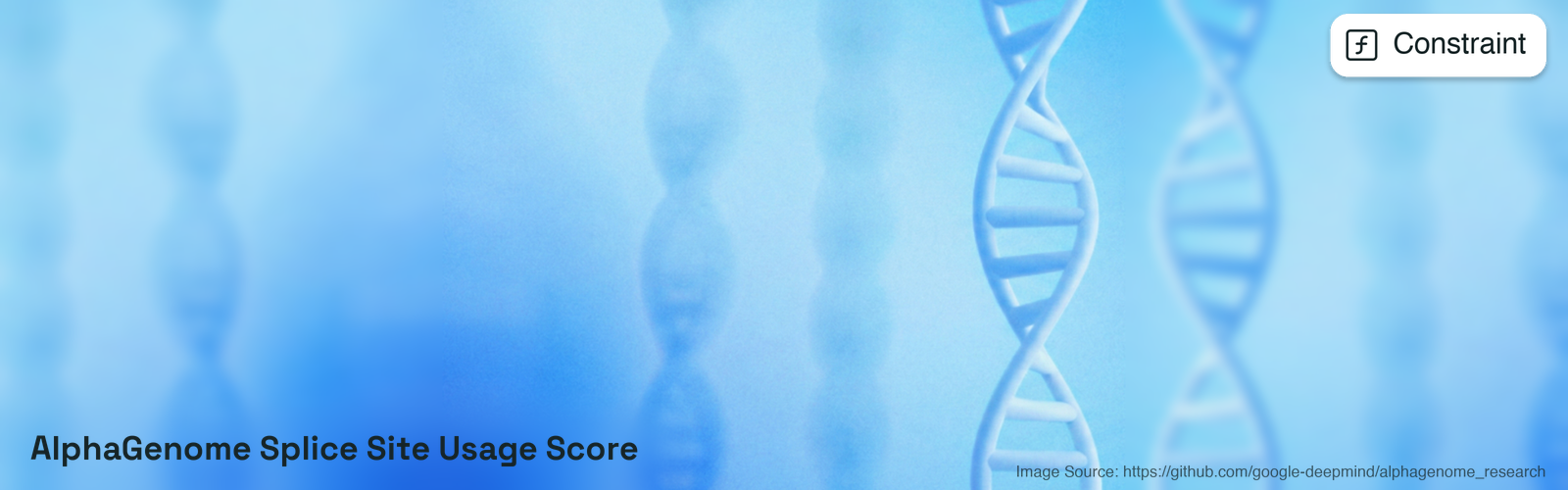 AlphaGenome splice site usage score