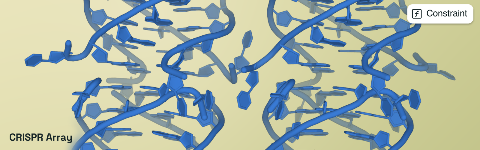 CRISPR Array