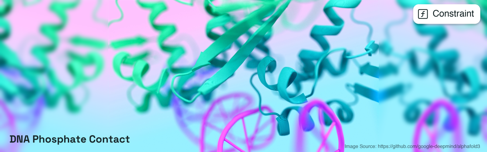 DNA Phosphate Contact