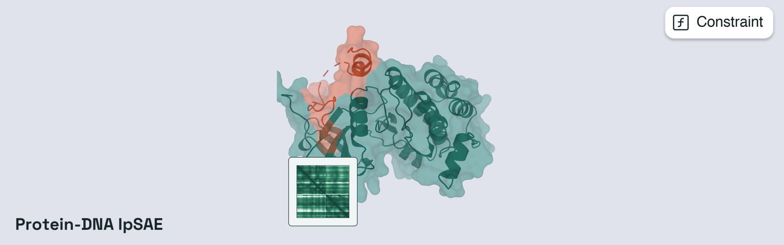 Protein-DNA ipSAE