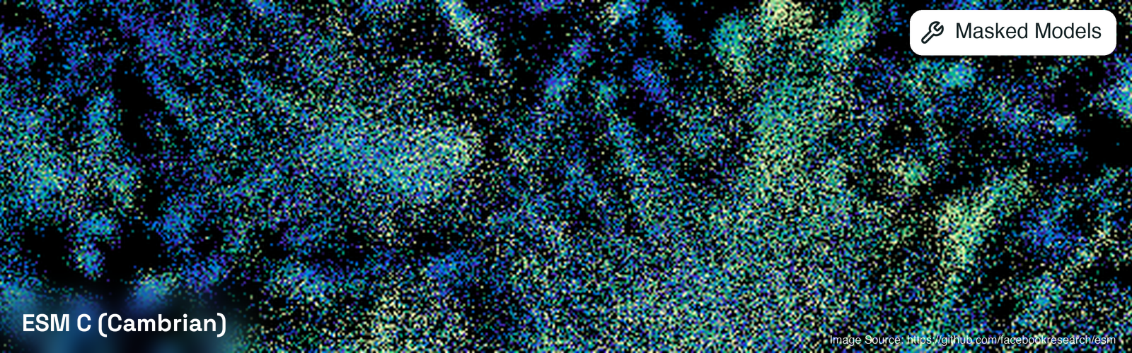 ESM C (Cambrian)