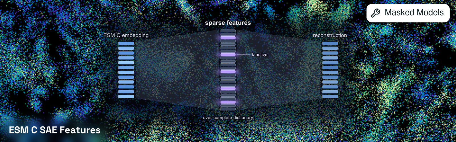 ESM C SAE Features