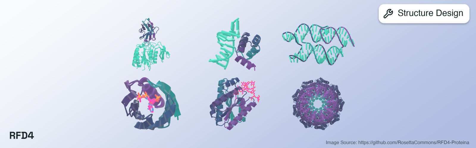 RFD4-Proteina